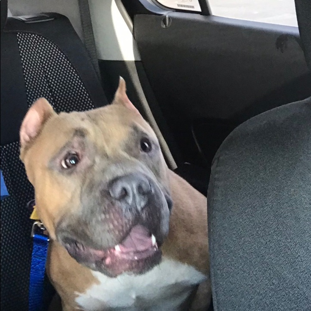 Meet your Posher, Wendy